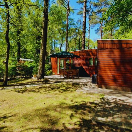 Vila Wooden Nature Chalet - Dennenrhode Doornspijk Exteriér fotografie