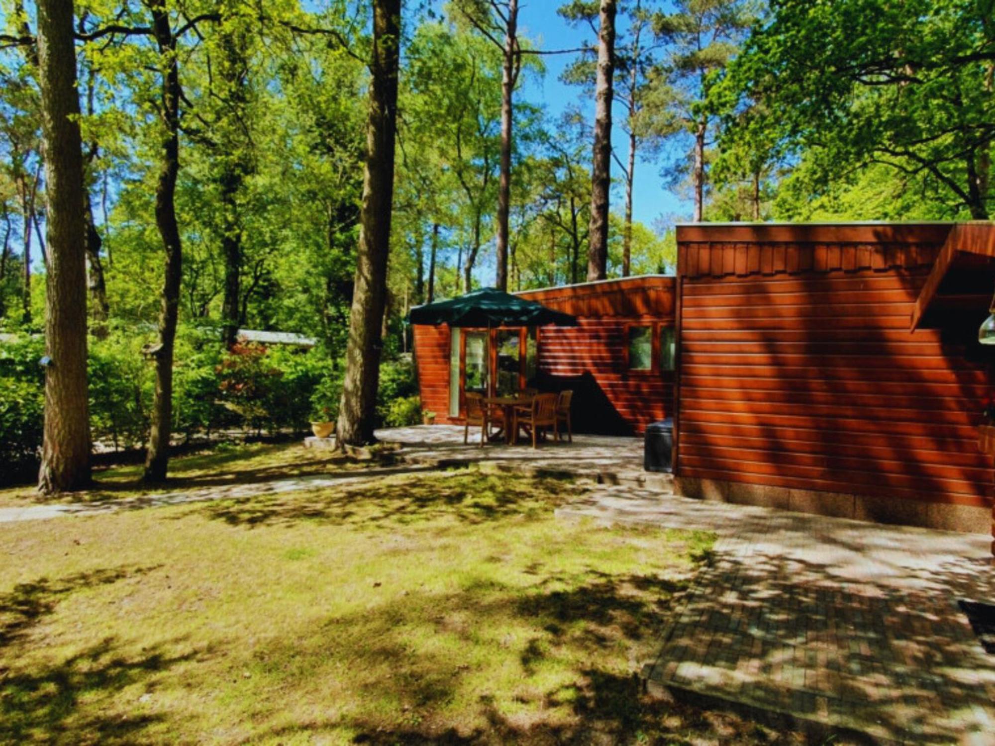 Vila Wooden Nature Chalet - Dennenrhode Doornspijk Exteriér fotografie